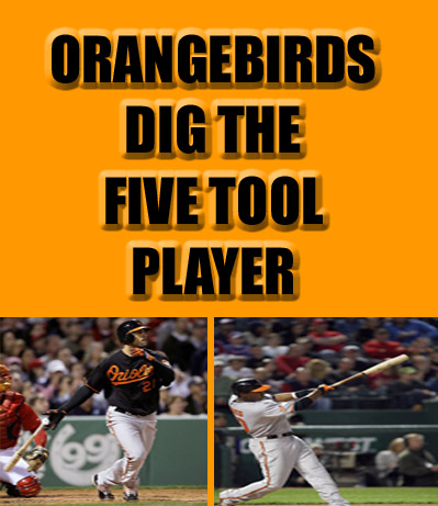orangebirds dig the 5tp.jpg